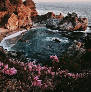 Meet your Posher, Ava